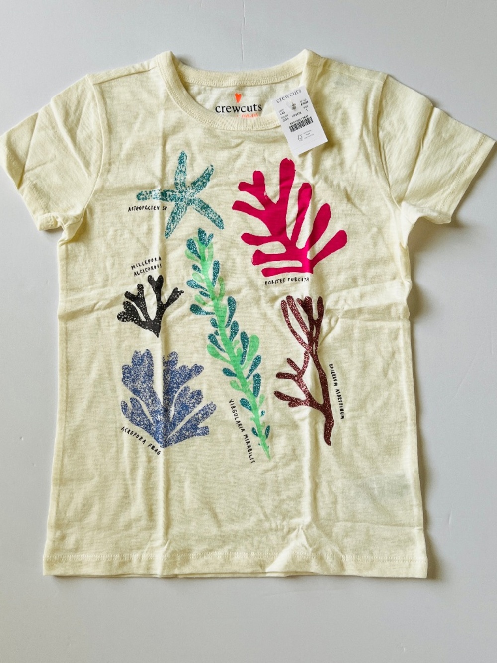 NWT Crewcuts Girls' under the sea graphic T-shirt size L (11-10)